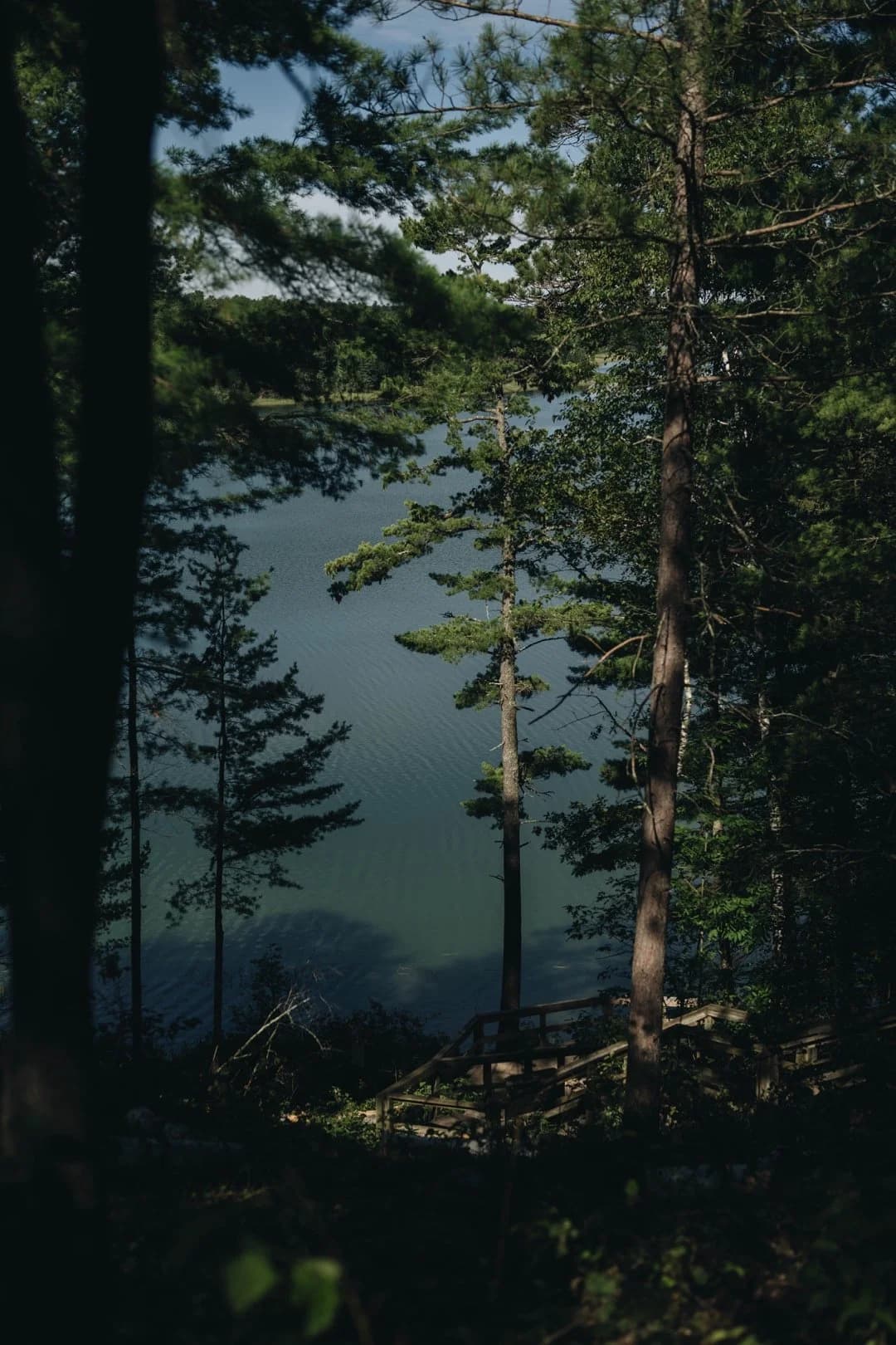 Summer visit to Itasca State Park