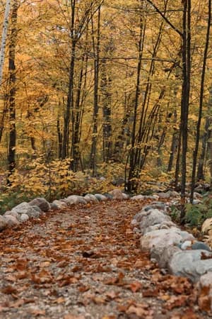 Fall foliage at Northwoods