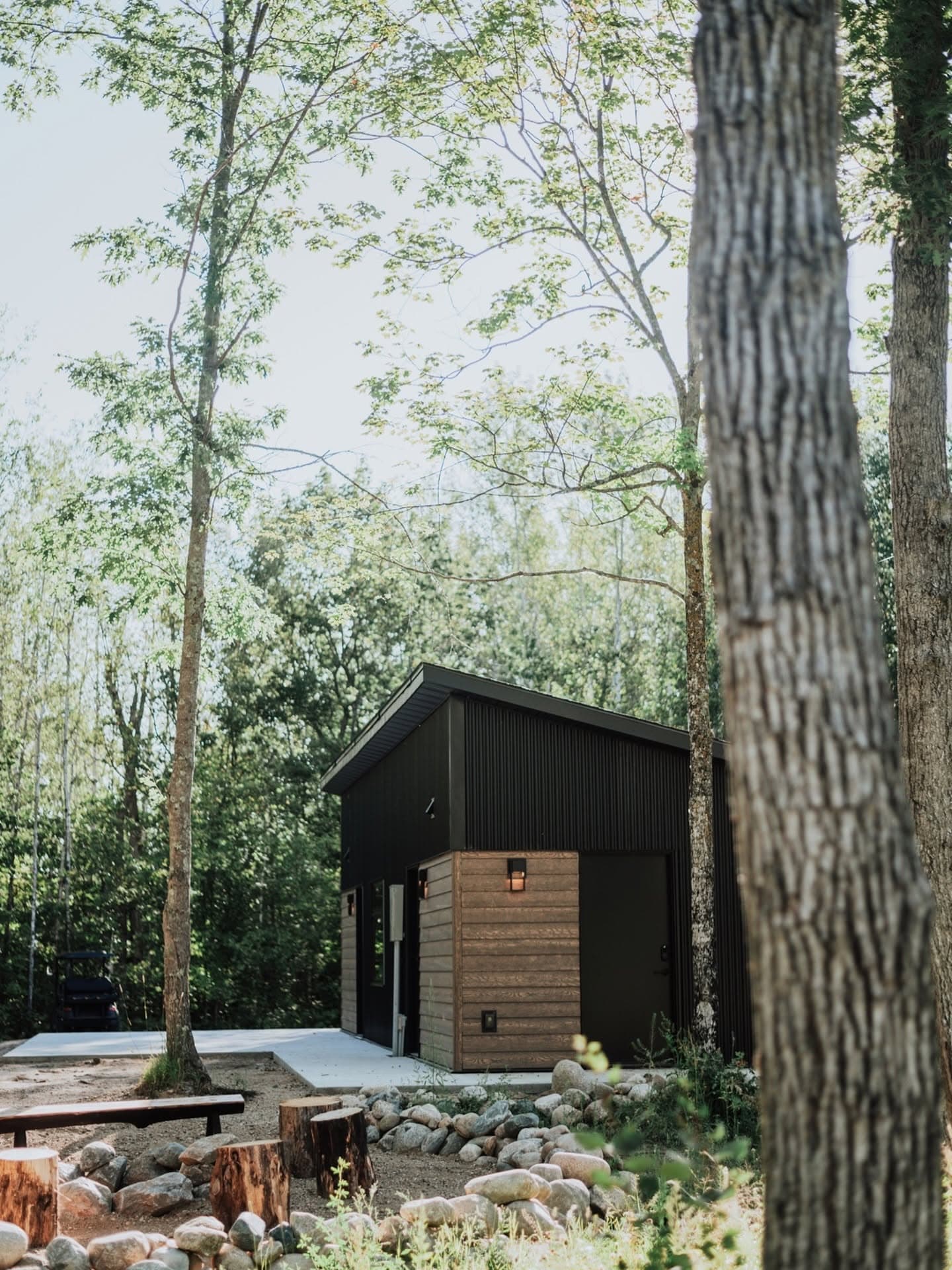 Modern black and wood tiny cabin nestled in tall forest