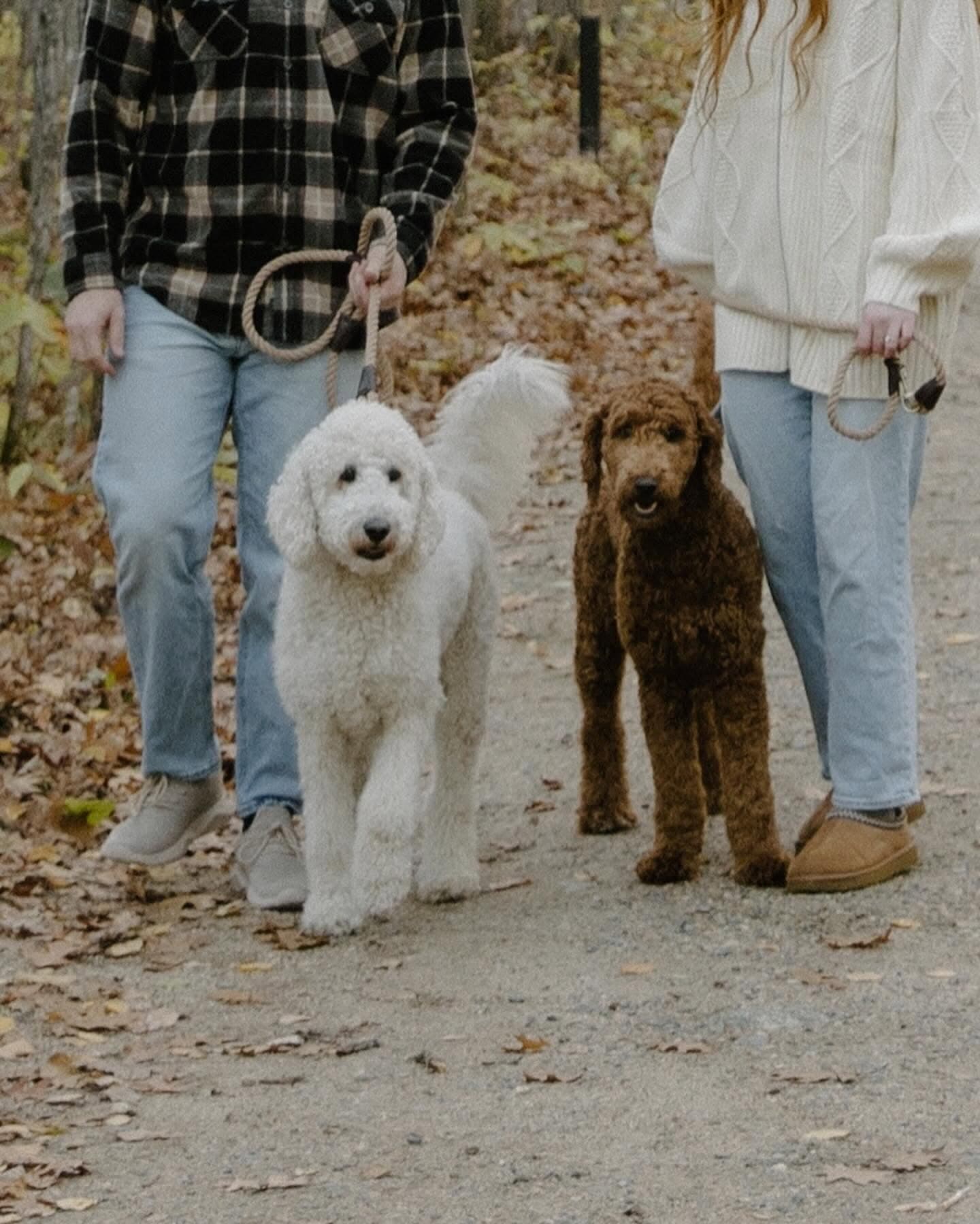 Mary and Tyler standing outdoors with their dog on a leaf-covered path