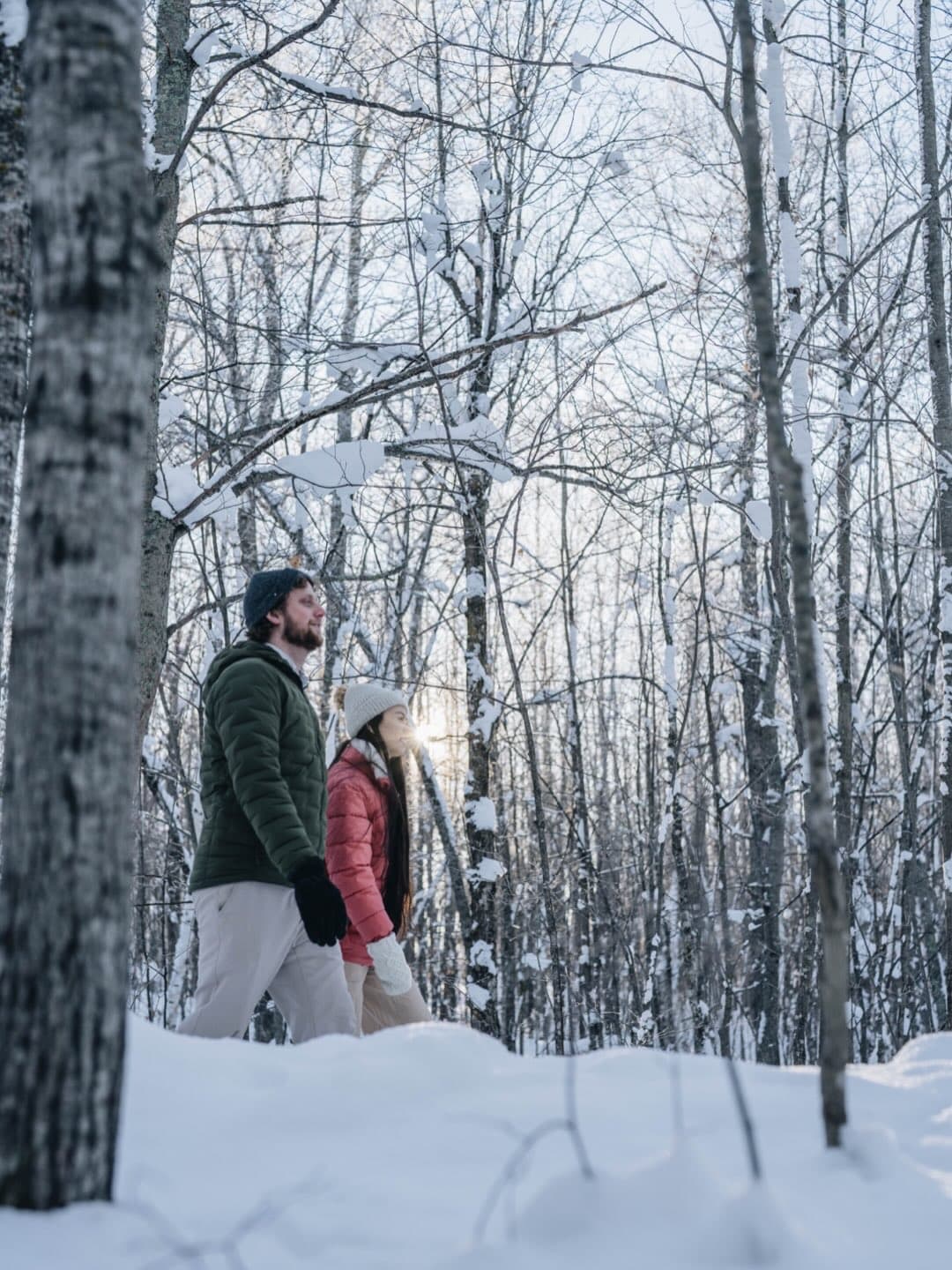 Two people in winter clothing among birch trees holding lanterns