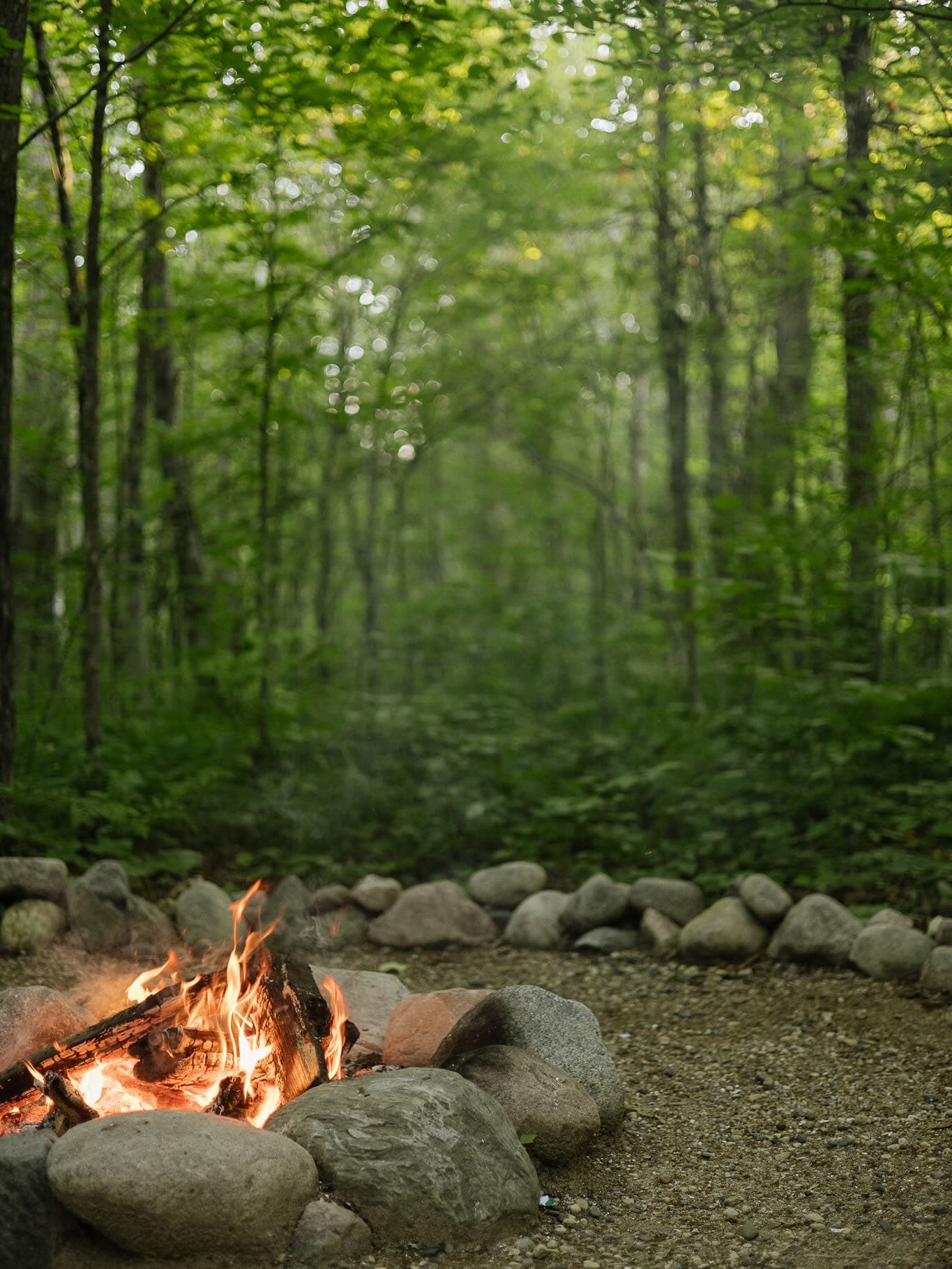Campfire burning in a stone ring surrounded by rocks and forest
